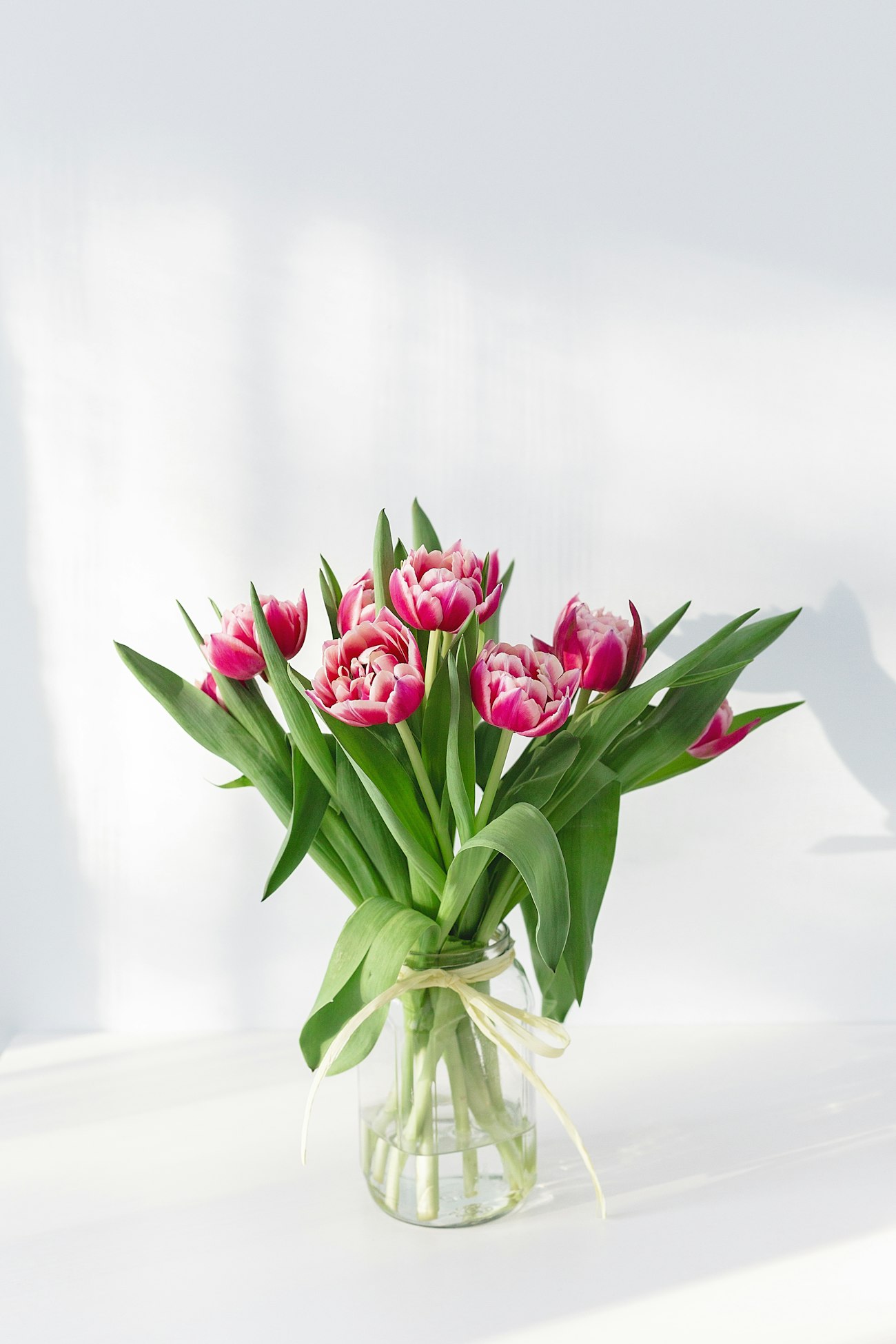 Tulip Standard — a jarful of double pinks